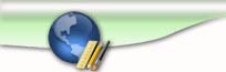 Website development services